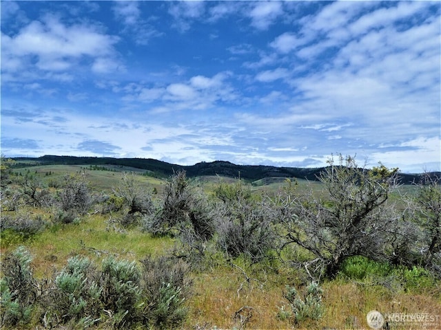 1 Colockum Rd, Ellensburg, WA 98926 - photo 15