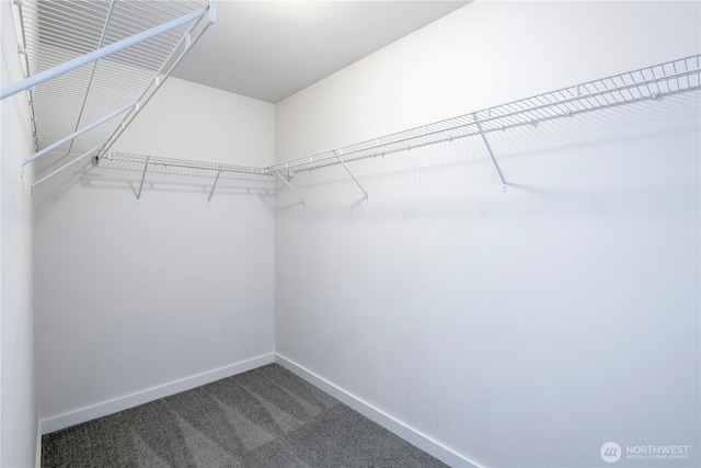 10012 Cascadian Ave SE, Yelm, WA 98597 - photo 17