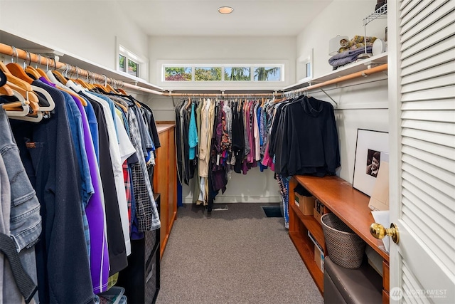 5115 NE Latimer Pl, Seattle, WA 98105 - walk in closet featuring carpet floors
