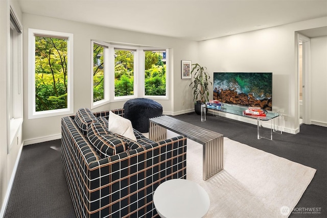 5115 NE Latimer Pl, Seattle, WA 98105 - carpeted living room with baseboards