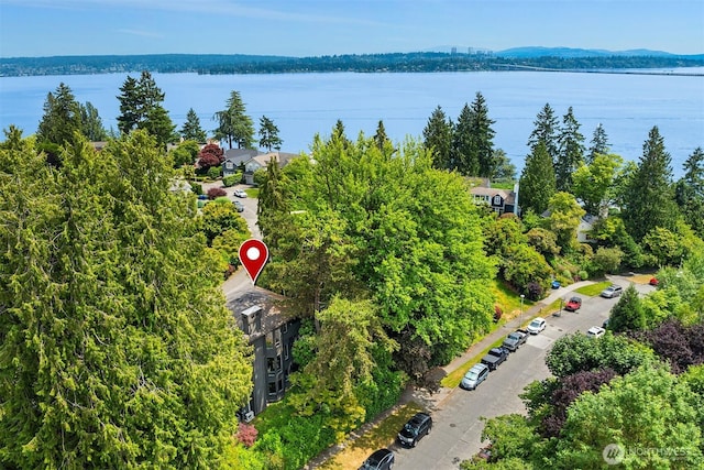 5115 NE Latimer Pl, Seattle, WA 98105 - drone / aerial view of a large body of water