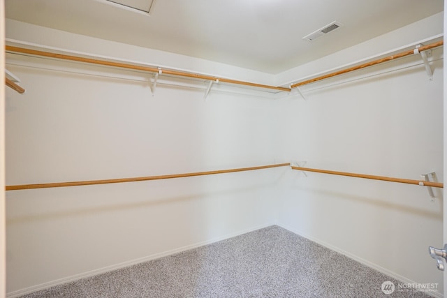 3300 NE 90th Cir, Vancouver, WA 98665 - spacious closet featuring carpet floors