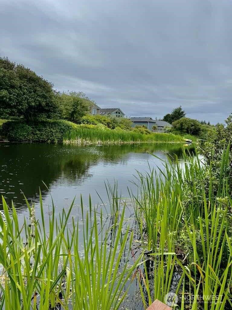 311 Cockle St SW, Ocean Shores, WA 98569 - photo 1
