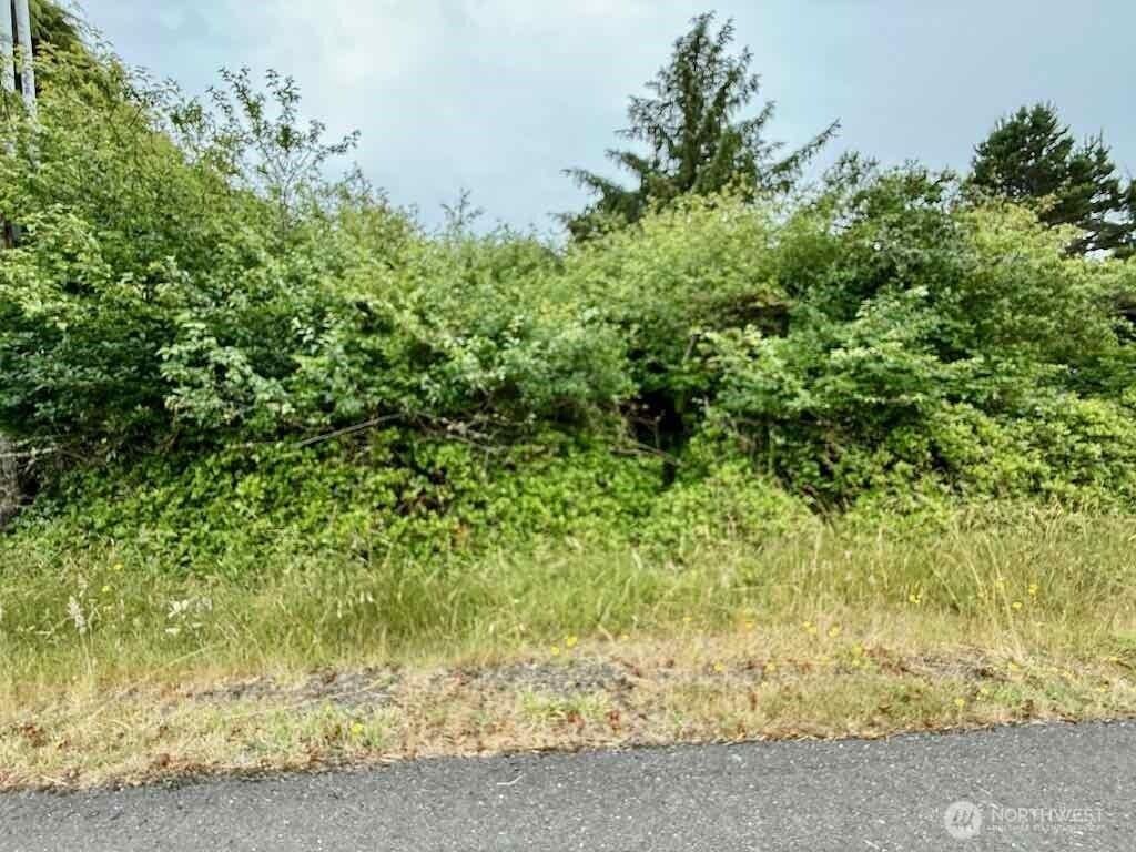 311 Cockle St SW, Ocean Shores, WA 98569 - photo 4