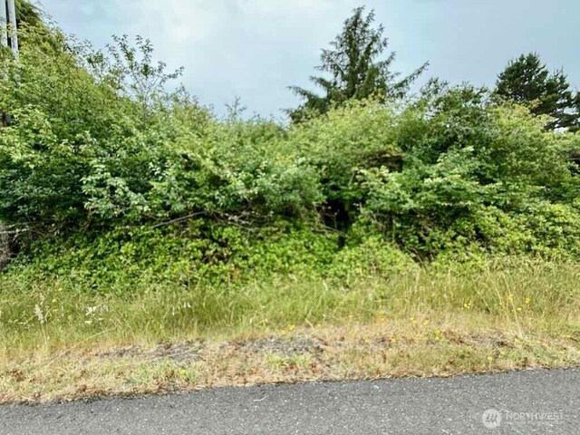 311 Cockle St SW, Ocean Shores, WA 98569 - photo 4