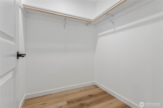 4710 Sagebrush Ln, Blaine, WA 98230 - walk in closet with light wood-type flooring