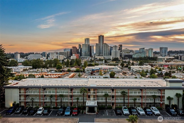 701 122nd Ave NE Unit 207, Bellevue, WA 98005 - view of city skyline