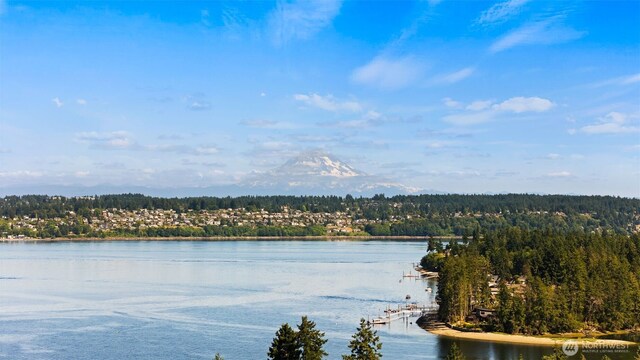 903 11th Ln, Fox Island, WA 98333 - photo 37