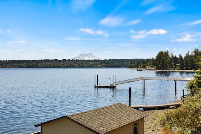 903 11th Ln, Fox Island, WA 98333 - photo 36