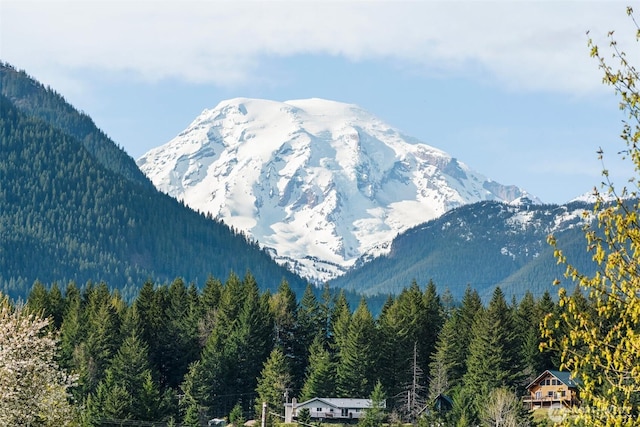 135 Main St E, Packwood, WA 98361 - mountain view featuring a heavily wooded area