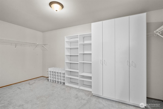14933 Terra View St SE, Yelm, WA 98597 - walk in closet with carpet flooring