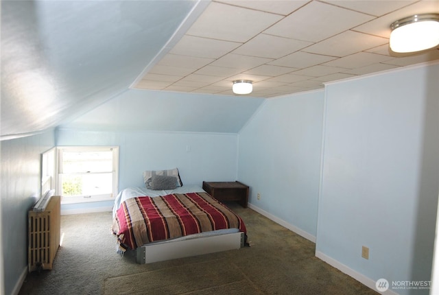 130 S 108th Pl, Seattle, WA 98168 - carpeted bedroom with radiator and lofted ceiling