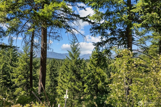 831 Gold Leaf Ln, Cle Elum, WA 98922 - photo 14