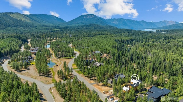 831 Gold Leaf Ln, Cle Elum, WA 98922 - photo 17