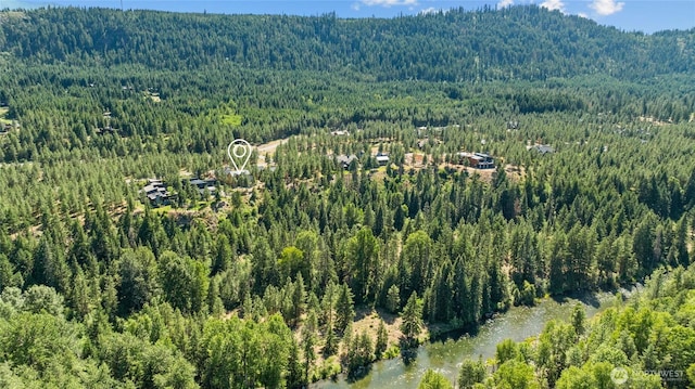 831 Gold Leaf Ln, Cle Elum, WA 98922 - photo 19