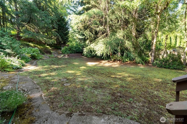 7829 197th Ave E, Bonney Lake, WA 98391 - view of grassy yard