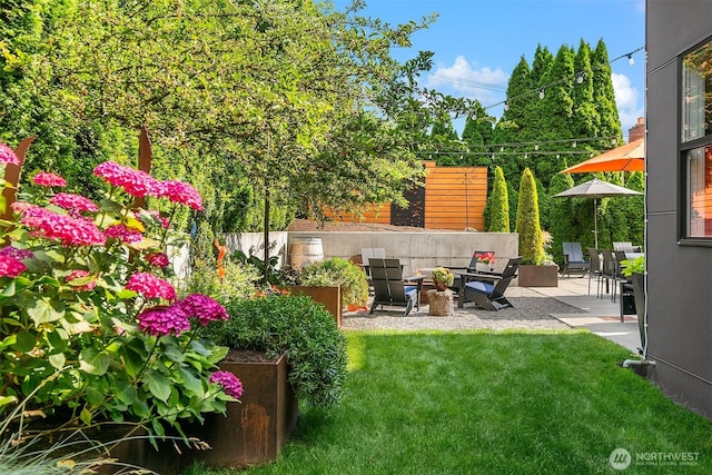 1808 2nd St, Kirkland, WA 98033 - view of green lawn featuring a patio area
