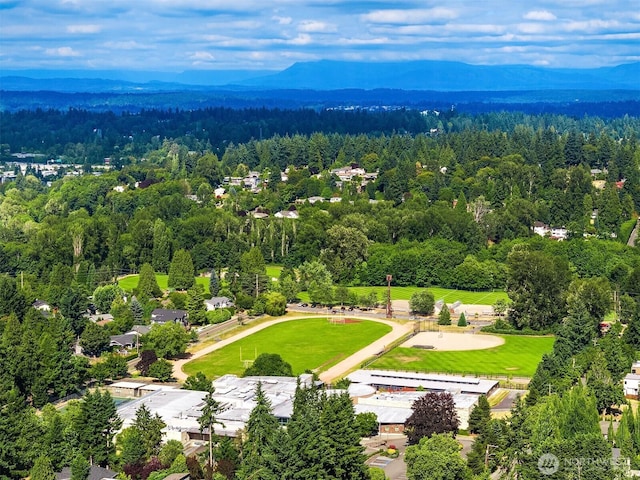 1808 2nd St, Kirkland, WA 98033 - bird's eye view of a forest and a mountain backdrop