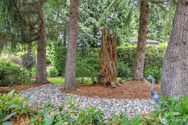 8834 Goldeneye Ln, Blaine, WA 98230 - view of yard