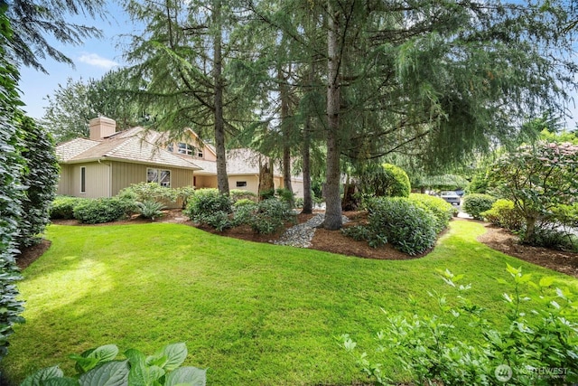8834 Goldeneye Ln, Blaine, WA 98230 - view of green lawn