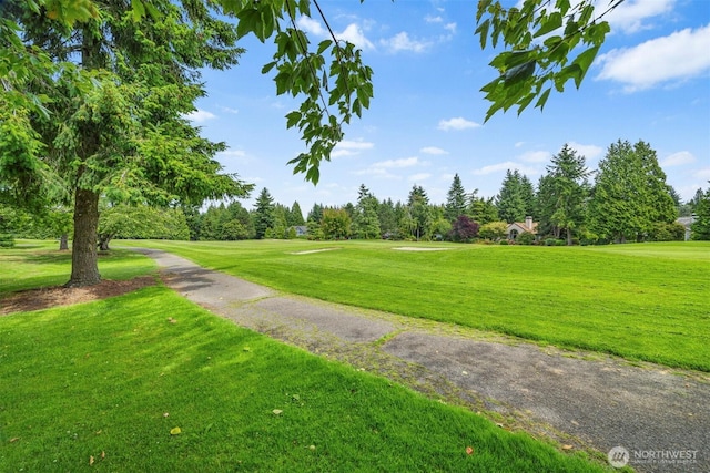 8834 Goldeneye Ln, Blaine, WA 98230 - view of property's community featuring view of golf course, a yard, and view of scattered trees