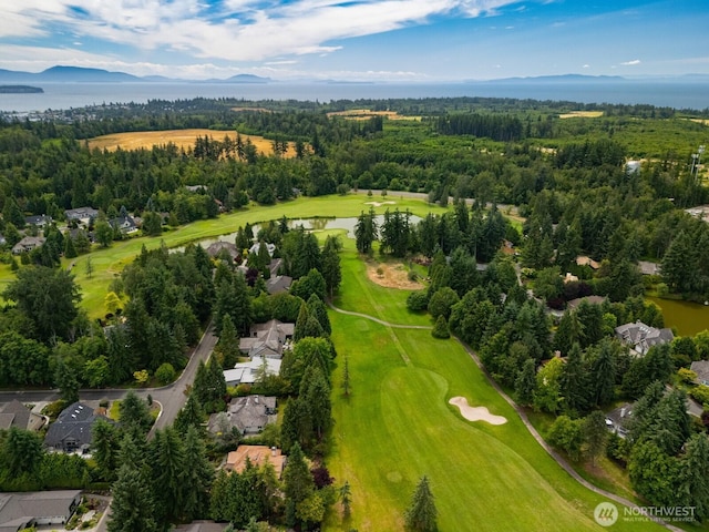 8834 Goldeneye Ln, Blaine, WA 98230 - aerial perspective of suburban area with a nearby body of water and a golf club