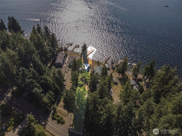 1171 E Mason Lake Dr E, Grapeview, WA 98546 - view of property location with a large body of water