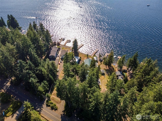 1171 E Mason Lake Dr E, Grapeview, WA 98546 - aerial view of property and surrounding area with a large body of water