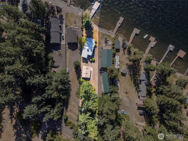 1171 E Mason Lake Dr E, Grapeview, WA 98546 - aerial overview of property's location