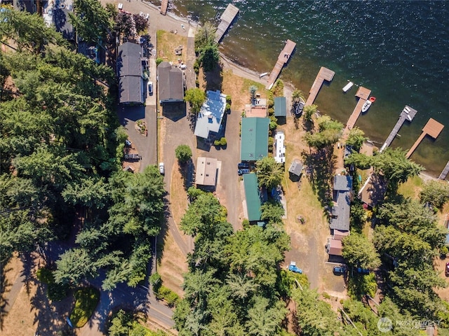 1171 E Mason Lake Dr E, Grapeview, WA 98546 - aerial overview of property's location