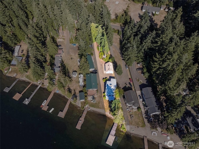 1171 E Mason Lake Dr E, Grapeview, WA 98546 - aerial view of property and surrounding area