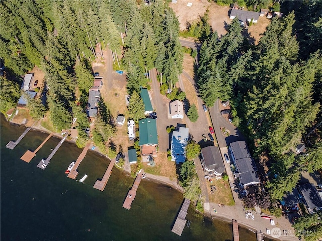 1171 E Mason Lake Dr E, Grapeview, WA 98546 - aerial overview of property's location