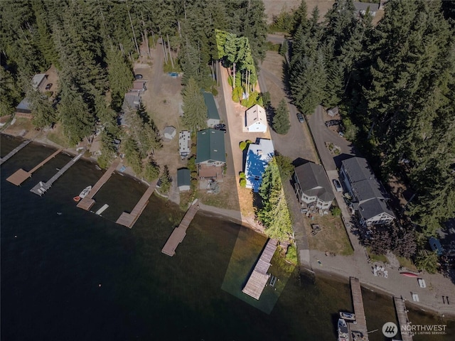 1171 E Mason Lake Dr E, Grapeview, WA 98546 - aerial overview of property's location