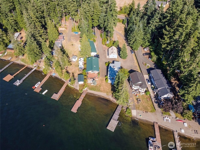 1171 E Mason Lake Dr E, Grapeview, WA 98546 - aerial view of property and surrounding area featuring a large body of water