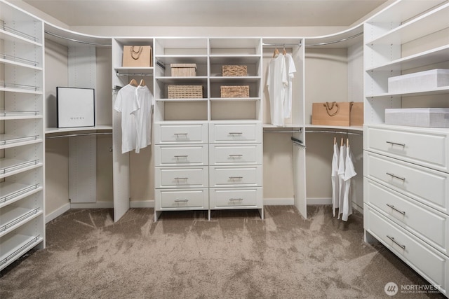 17477 NE 123rd Way, Redmond, WA 98052 - walk in closet with carpet floors
