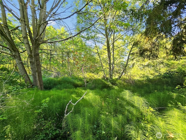 4985 Bakerview Rd, Oak Harbor, WA 98277 - photo 10