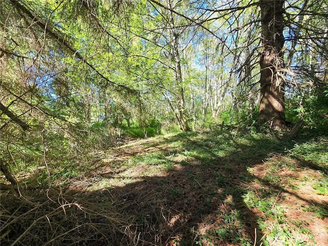 4985 Bakerview Rd, Oak Harbor, WA 98277 - photo 11