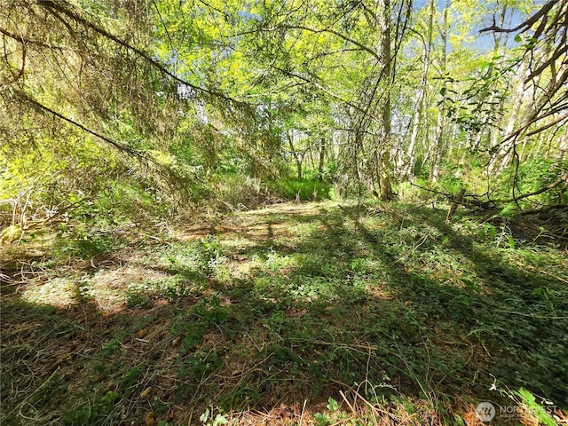 4985 Bakerview Rd, Oak Harbor, WA 98277 - photo 12
