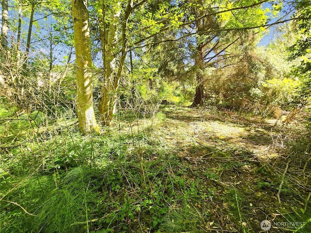 4985 Bakerview Rd, Oak Harbor, WA 98277 - photo 13