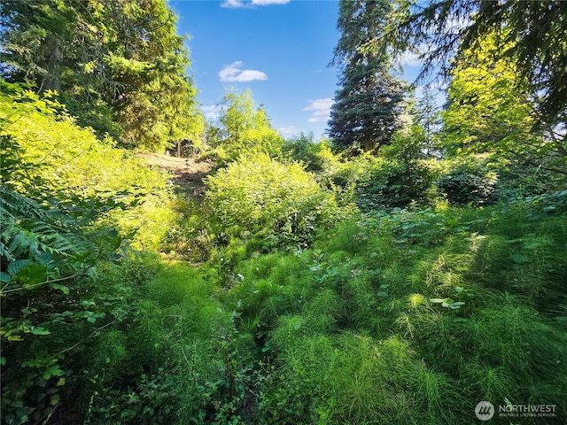 4985 Bakerview Rd, Oak Harbor, WA 98277 - photo 14