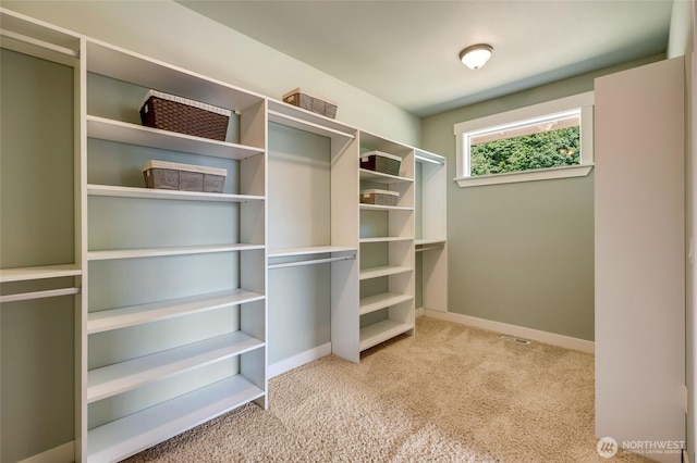 17027 313th St NE, Arlington, WA 98223 - photo 22