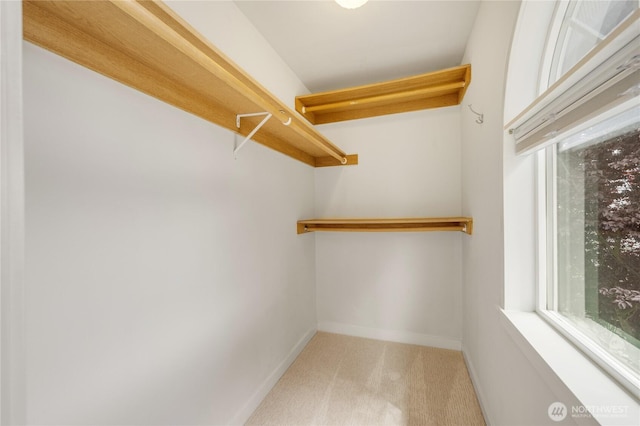 2344 44th Ave SW Unit B, Seattle, WA 98116 - spacious closet with carpet