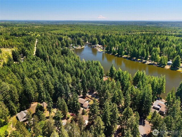 60 E Cardigan Ct, Shelton, WA 98584 - photo 34