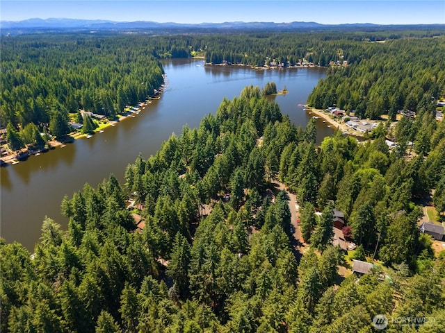 60 E Cardigan Ct, Shelton, WA 98584 - photo 35