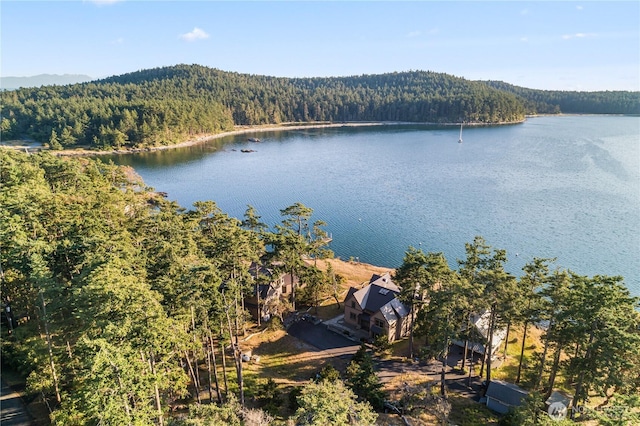 745 Cape Dr, Friday Harbor, WA 98250 - photo 2