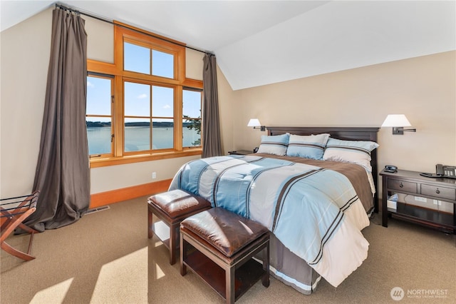 745 Cape Dr, Friday Harbor, WA 98250 - photo 22