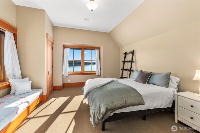 745 Cape Dr, Friday Harbor, WA 98250 - photo 28