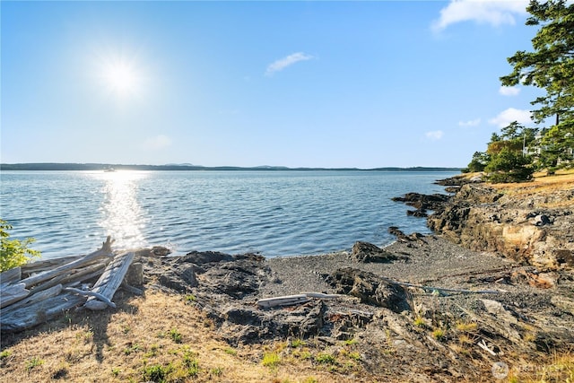 745 Cape Dr, Friday Harbor, WA 98250 - photo 32