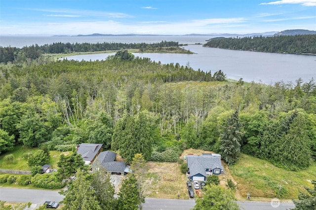 5002 Deception Cir, Oak Harbor, WA 98277 - photo 7