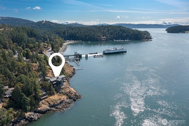 8256 Orcas Rd, Orcas Island, WA 98245 - photo 4